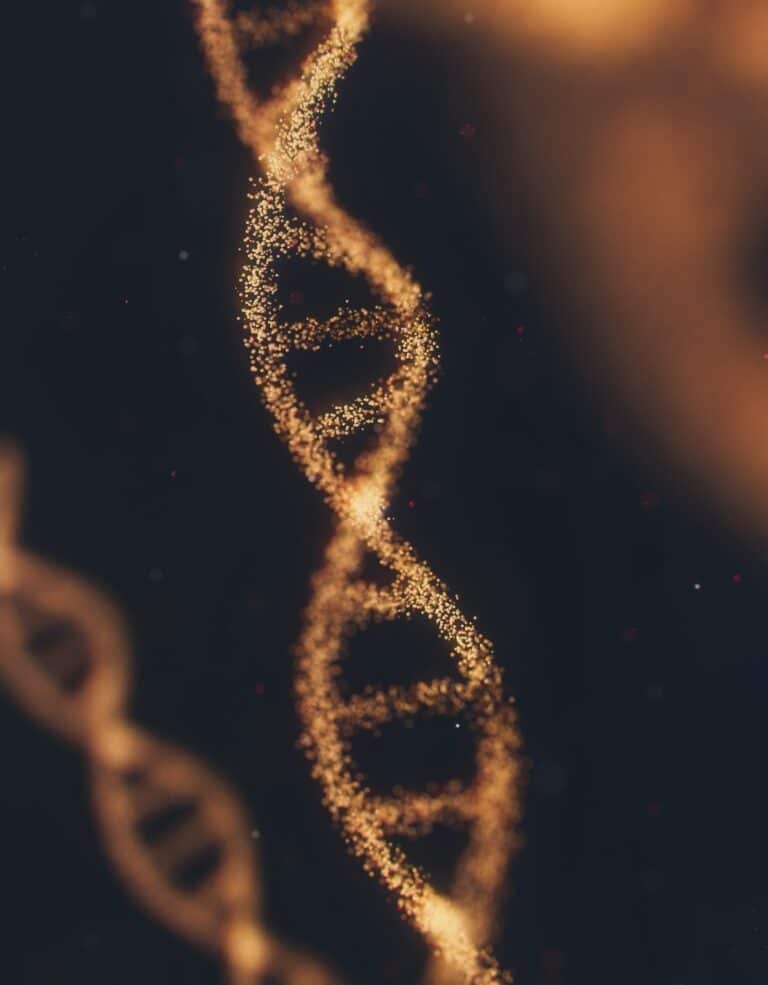 DNA strand representing pharmacogenomics and nutrigenomics testing at Integria Precision Medicine